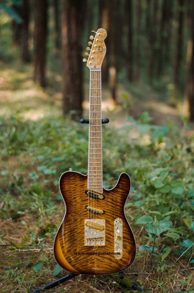 sonnyguitarindonesia