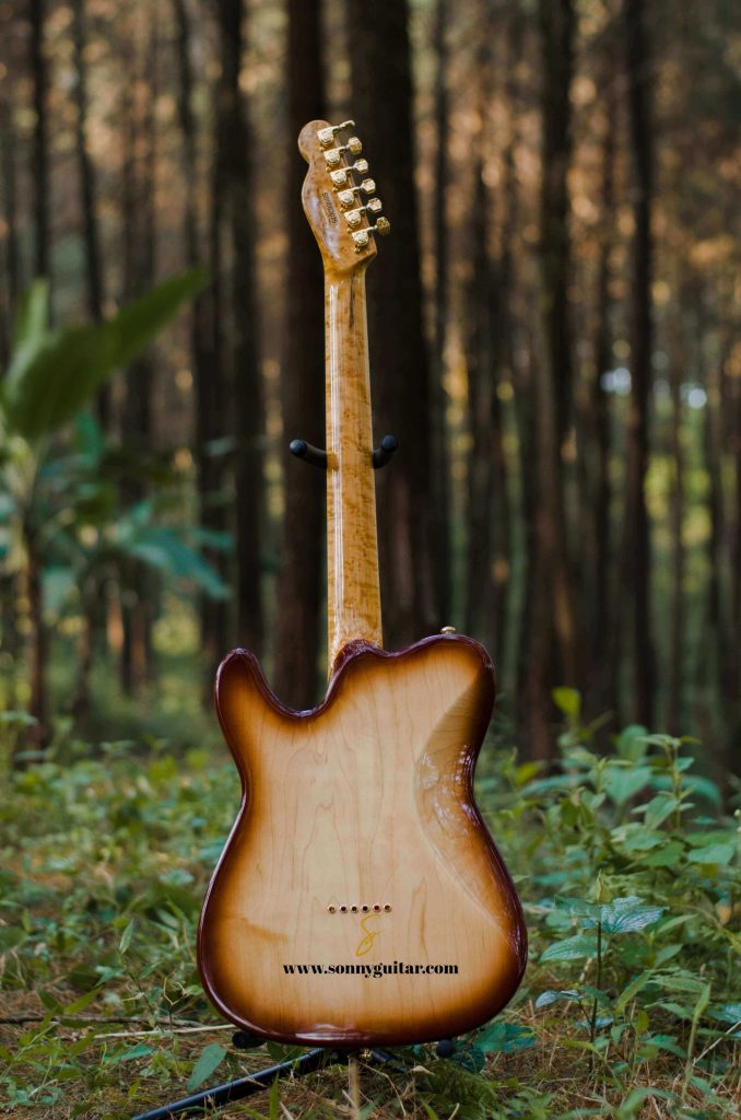 sonnyguitarindonesia