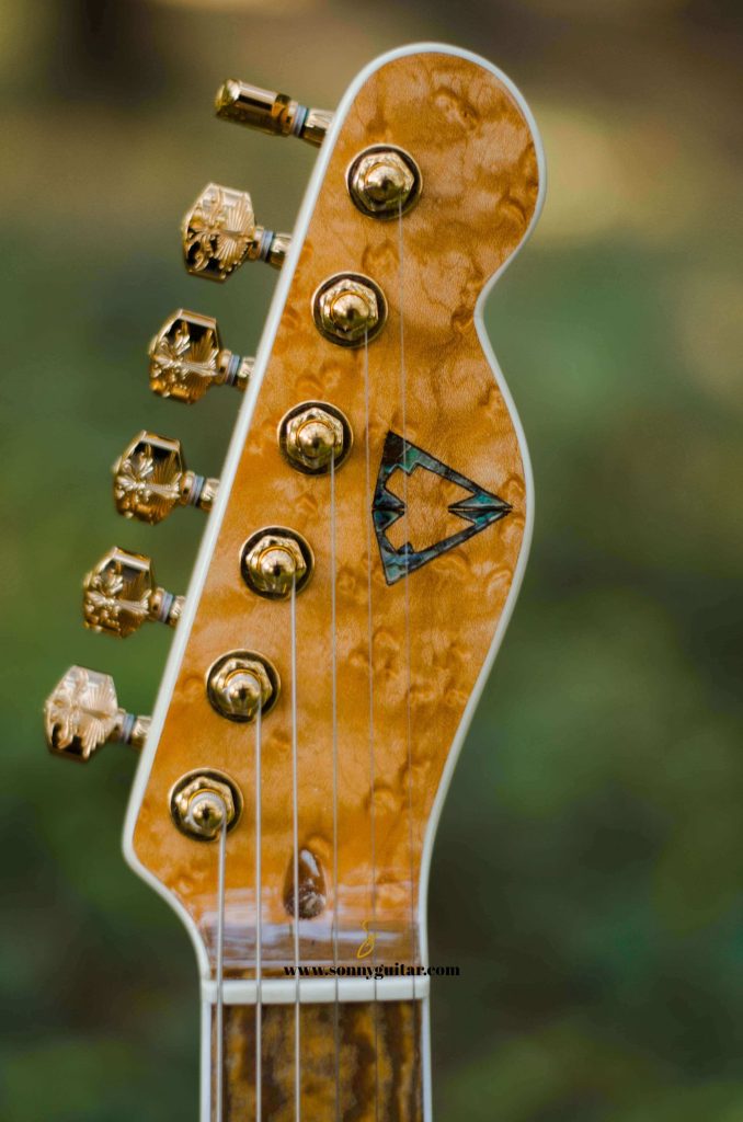 sonnyguitarindonesia