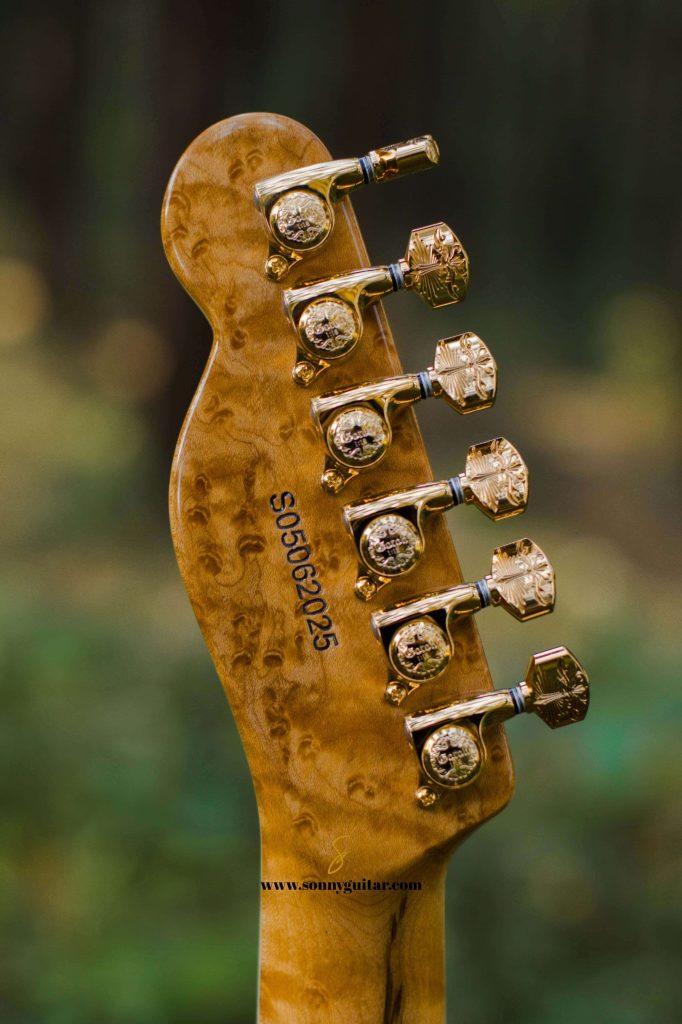 sonnyguitarindonesia