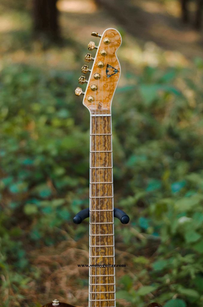 sonnyguitarindonesia