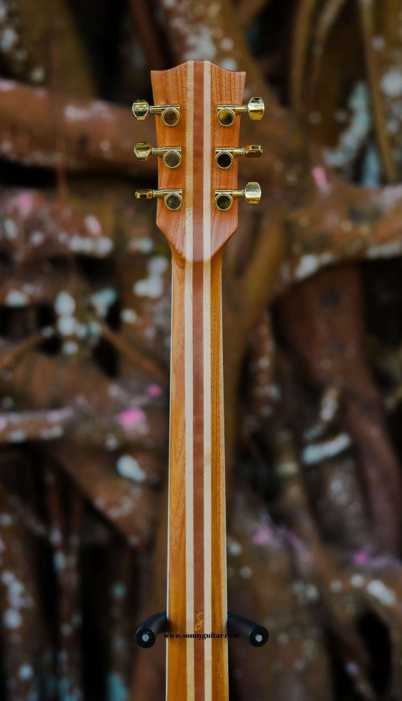 sonnyguitarindonesia