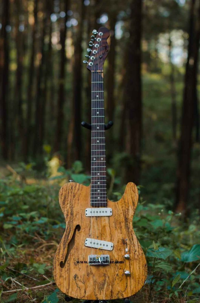 sonnyguitarindonesia
