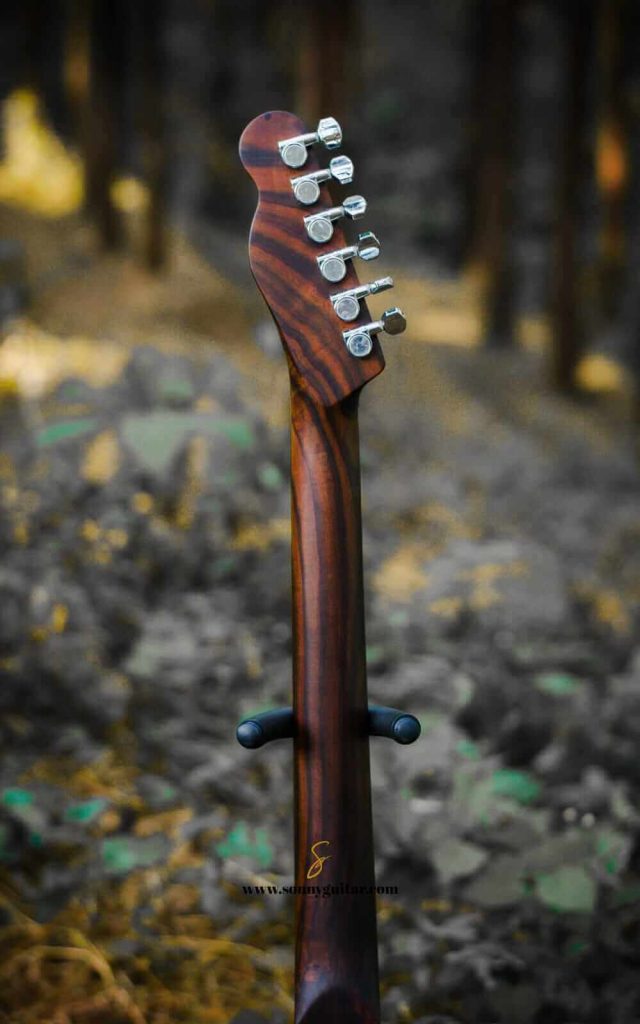 sonnyguitarindonesia