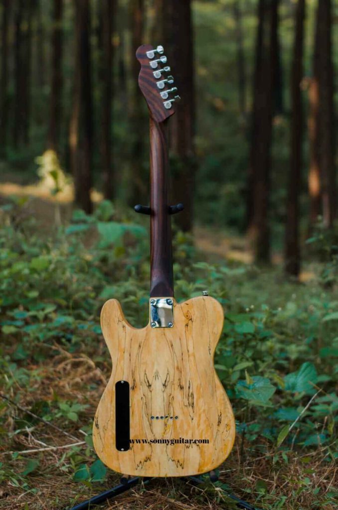 sonnyguitarindonesia