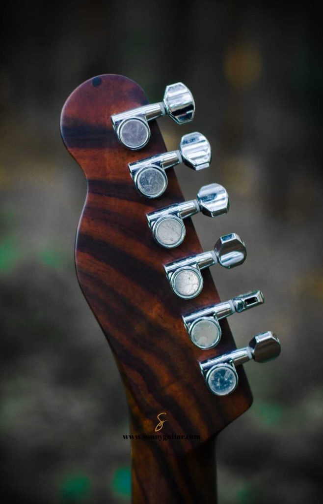 sonnyguitarindonesia