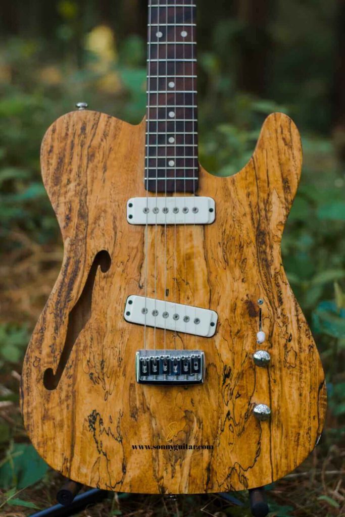 sonnyguitarindonesia