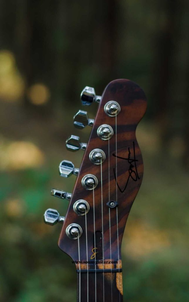 sonnyguitarindonesia