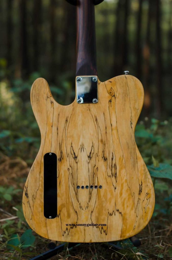 sonnyguitarindonesia